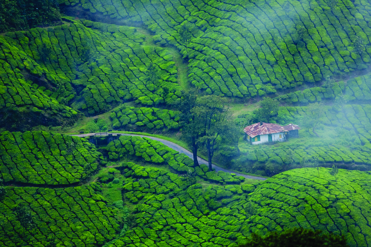 munnar destination