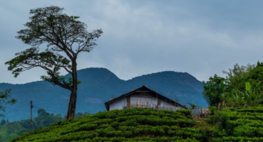 Wayanad weekend trip from Bangalore