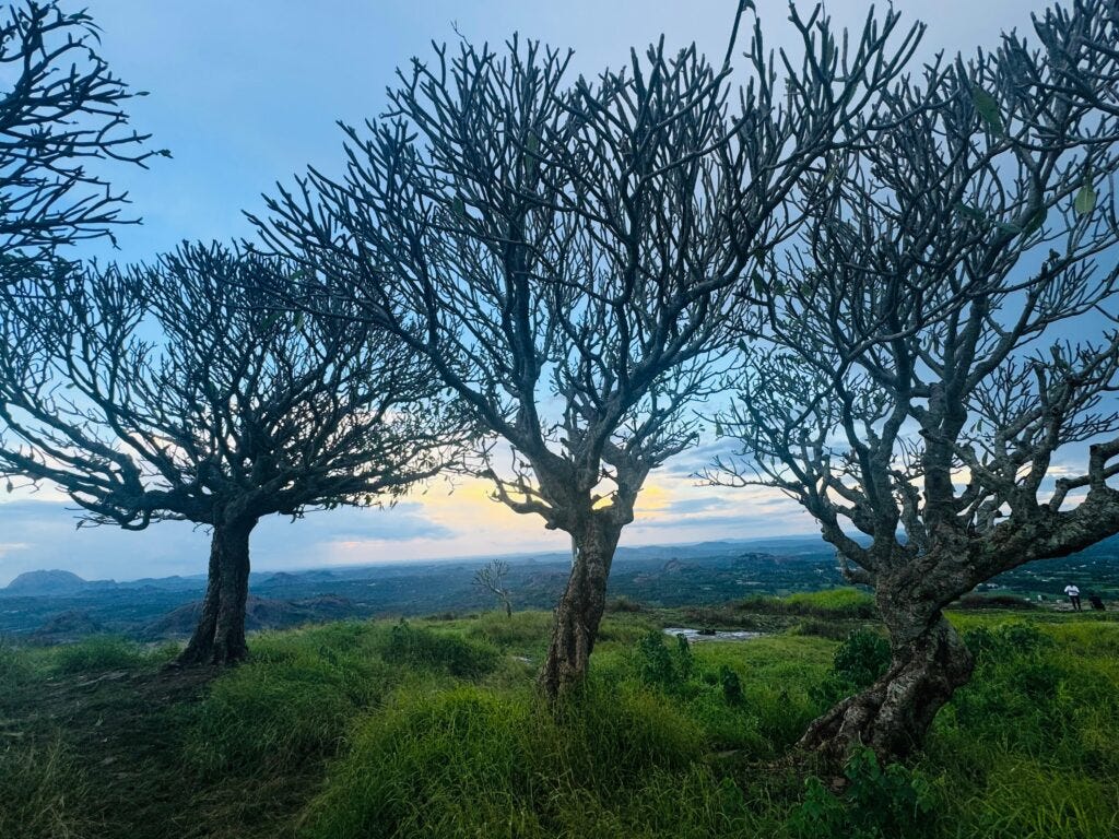 narayanagiri sunrise trek from bangalore